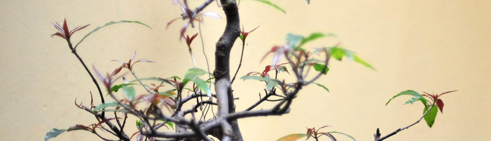 行思錄 | Travel Coder